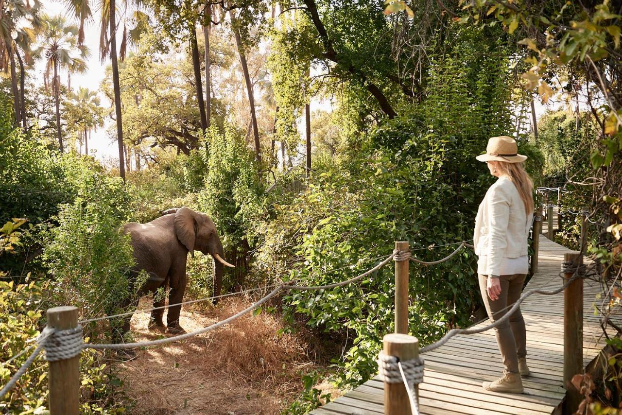 Victoria Falls River Lodge Kültér fotó