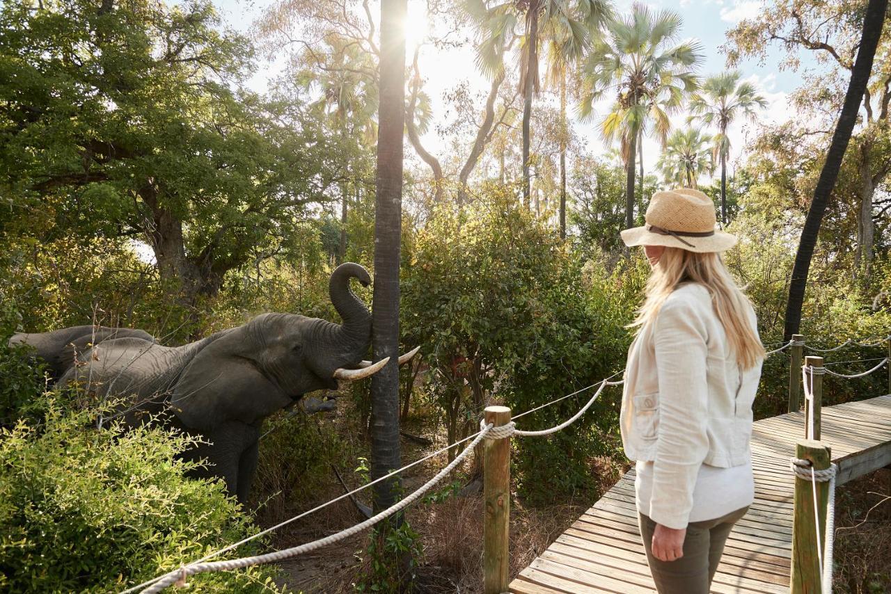 Victoria Falls River Lodge Kültér fotó